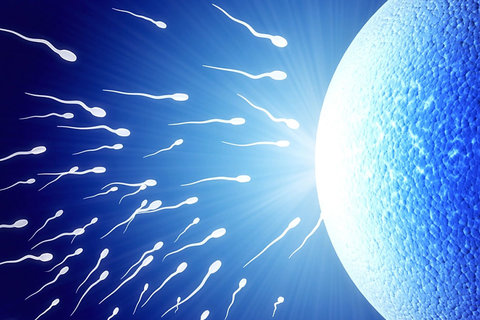 北京大學(xué)深圳醫(yī)院試管嬰兒費用詳解：2025年最新數(shù)據(jù)