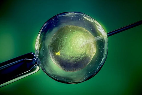 深圳試管嬰兒醫(yī)院全攻略：技術(shù)、成功率與選擇指南