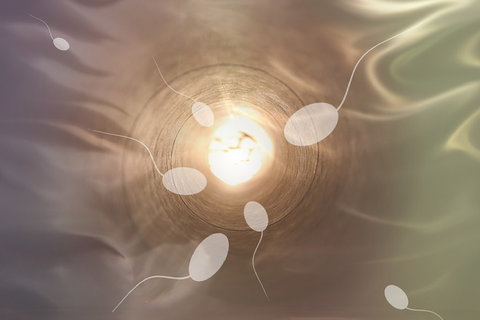 浙一醫(yī)院試管嬰兒多少錢啊？試管嬰兒費(fèi)用揭秘