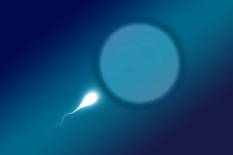 鹽城做試管嬰兒的醫(yī)院哪家好？鹽城試管嬰兒醫(yī)院精選