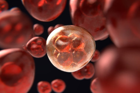 淮安做試管嬰兒多少錢？淮安試管嬰兒醫(yī)院全攻略