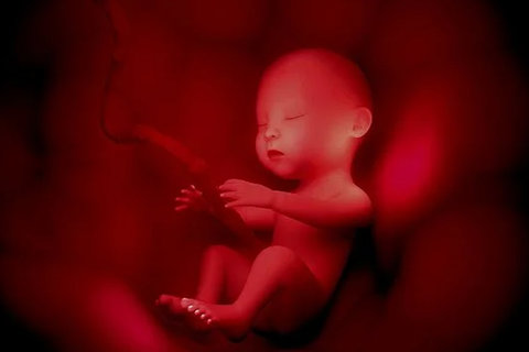 42歲做一代試管還是三代試管？成功率深度分析