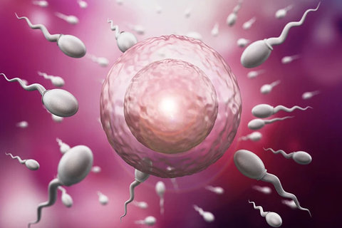 泰國試管嬰兒醫(yī)院哪家好？泰國試管嬰兒醫(yī)院全景解析