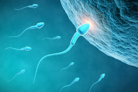 泰國試管嬰兒費用明細(xì)表：2025年價格全解析