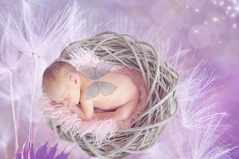 泰國(guó)嬰兒試管的新技術(shù)有哪些？技術(shù)革新全解析