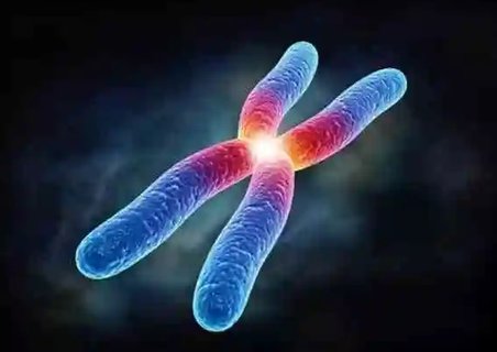 常染色體隱性遺傳敢生孩子嗎？隱性遺傳家庭的生育選擇