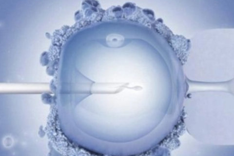 經(jīng)期如何快速減肥瘦身？自然減重的最佳時機