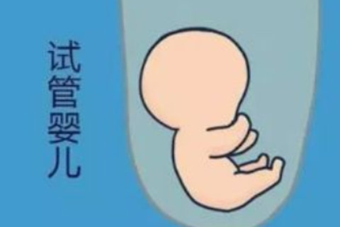 上海助孕機(jī)構(gòu)哪家最好？上海助孕機(jī)構(gòu)推薦