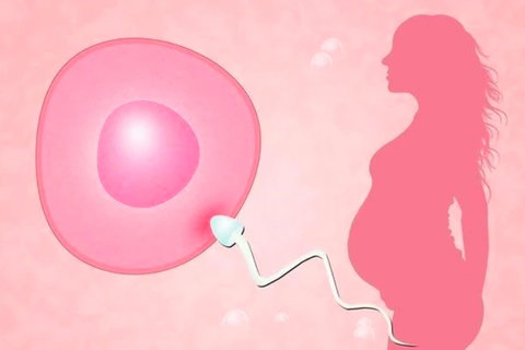 宮頸下垂手術(shù)費(fèi)一般是多少錢？經(jīng)濟(jì)考量與健康選擇