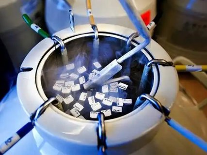 胚胎冷凍費(fèi)用怎么算的？費(fèi)用計(jì)算與影響因素
