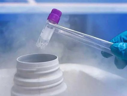 試管嬰兒技術(shù)有什么區(qū)別？一代二代三代試管區(qū)別及價格