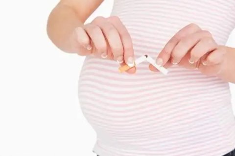 老公沒戒煙懷孕了能要嗎？未戒煙懷孕的影響