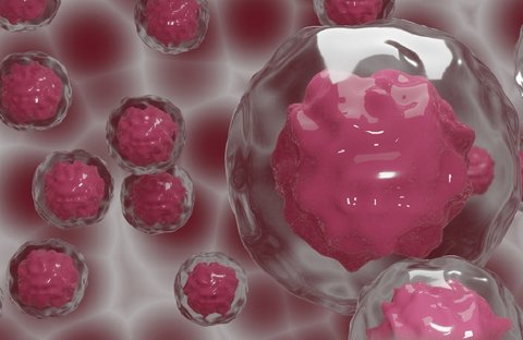 胚胎膠在子宮可以管多久？胚胎膠在子宮內(nèi)的持續(xù)時間