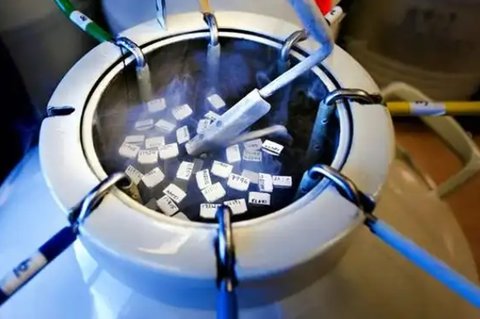 移植使用胚胎膠有影響嗎？移植使用胚胎膠的利弊