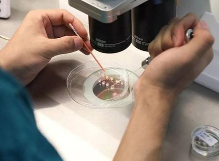 三代試管嬰兒技術！預防遺傳病的科學屏障