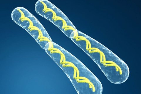 20號染色體偏多孩子還會正常嗎？20號染色體異常的影響