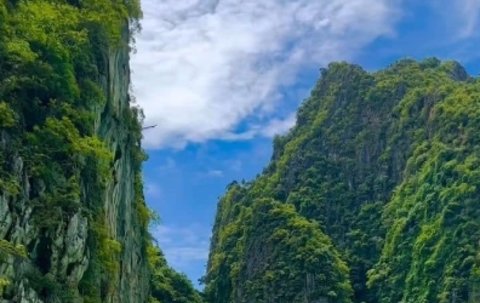 去泰國做試管嬰兒可靠嗎？2025最新赴泰試管分析