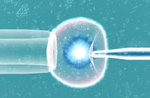 做試管中國好還是泰國好？中國與泰國該如何抉擇？