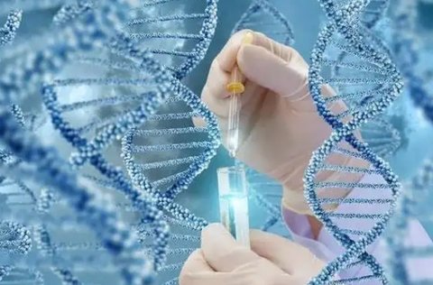 泰國試管嬰兒醫(yī)院如何選擇？泰國試管嬰兒醫(yī)院排名及費用