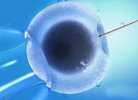 著床成功后內(nèi)褲會(huì)很干凈嗎？揭秘胚胎著床的生理現(xiàn)象