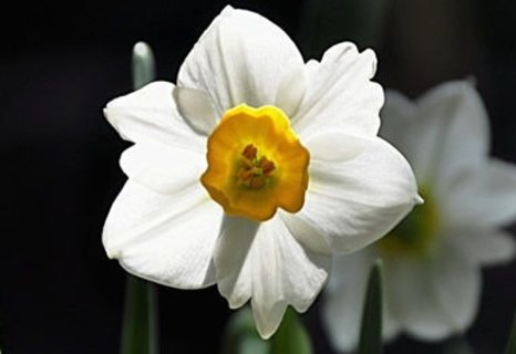 哪些身體異常不用治療？17種身體異常一般不用治療