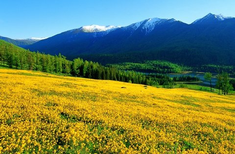 國(guó)家免費(fèi)婦科檢查項(xiàng)目有哪些？全面了解與利用指南