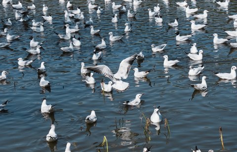 云南做試管哪家醫(yī)院好？云南做試管的醫(yī)院排名