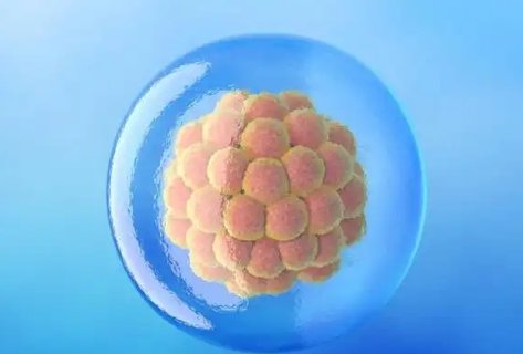 囊胚移植后有什么變化和癥狀？囊胚移植后1到14天變化圖