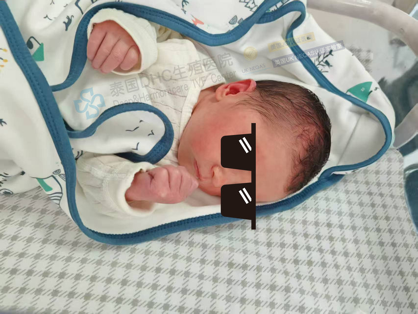 泰國DHC每日好孕故事0604