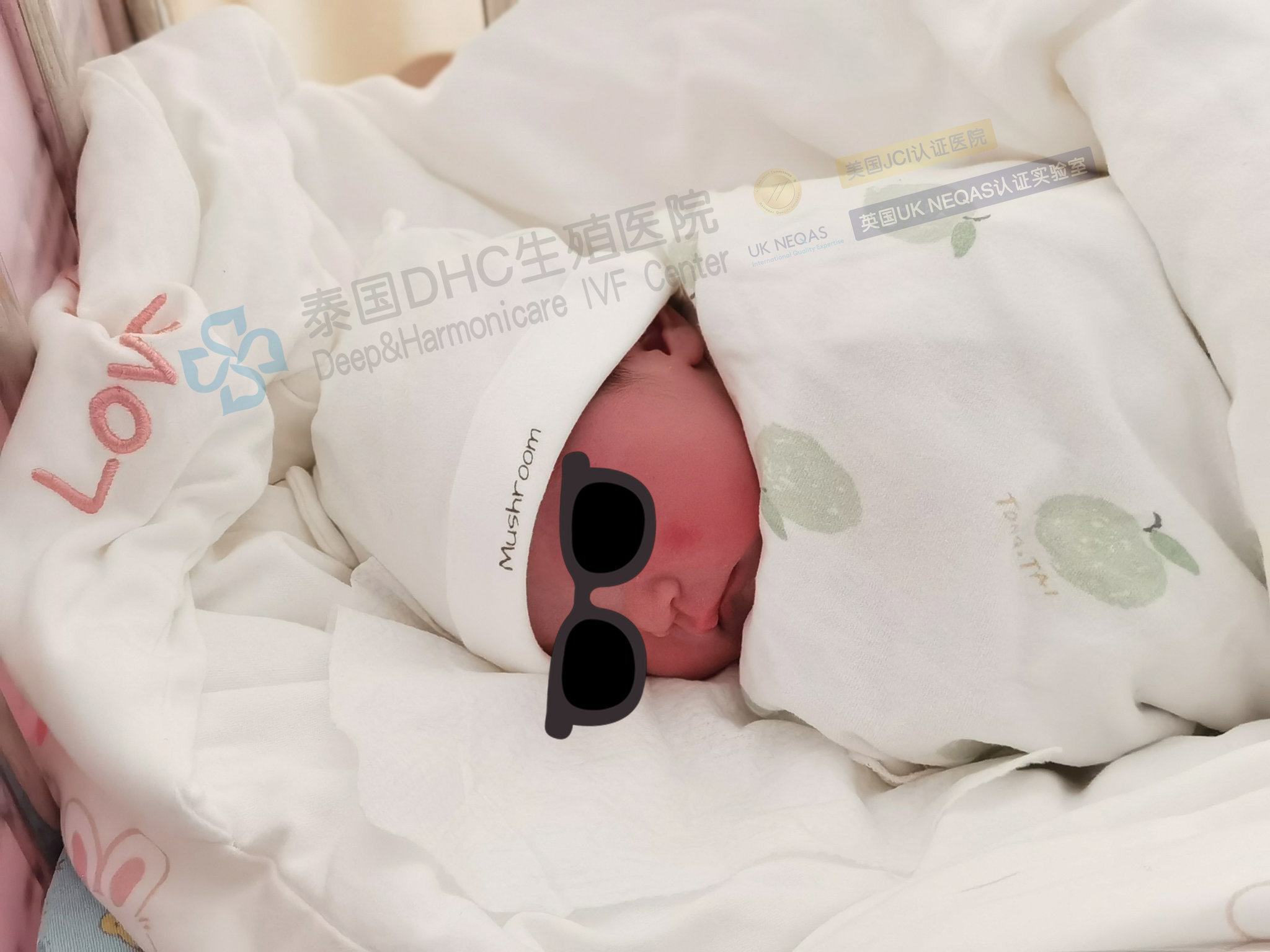 泰國DHC每日好孕故事0620