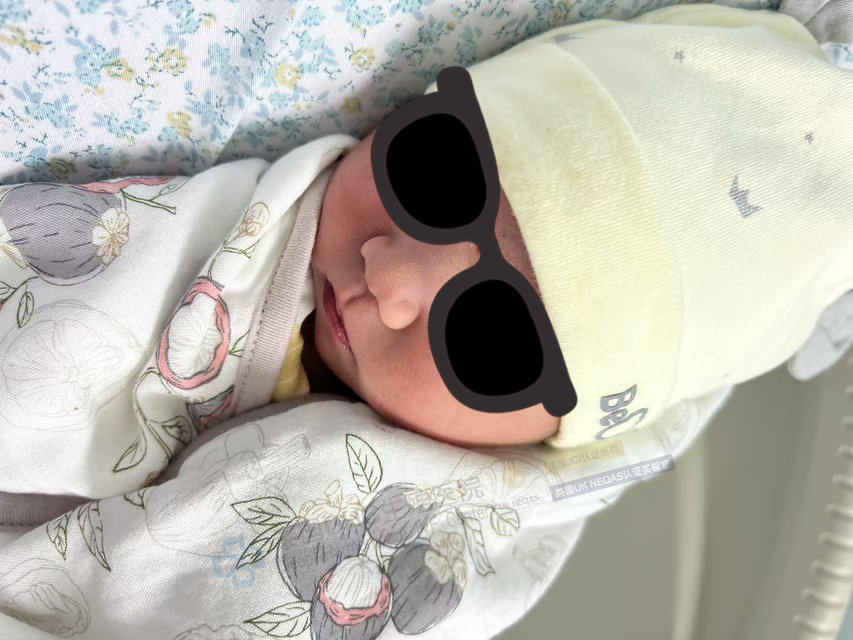 泰國DHC每日好孕播報(bào)0721